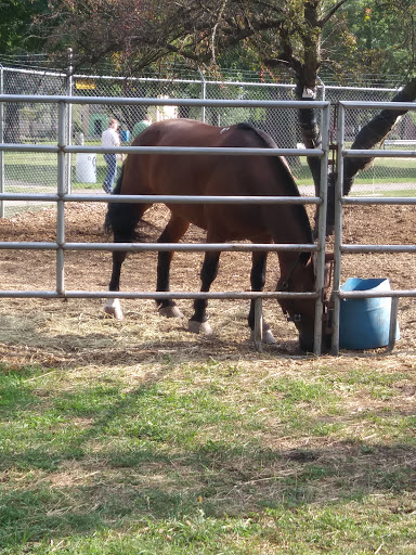 Public Golf Course «Palmer Park Golf Course», reviews and photos, 19013 Woodward Ave, Detroit, MI 48203, USA