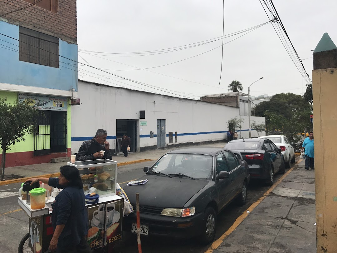 Gerencia de Transporte Urbano