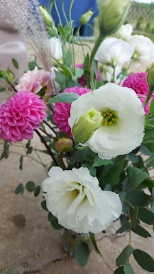 Les Fleurs de KEROMPIC à Saint-Pol-de-Léon