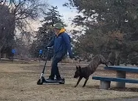 Colfax Canine Care - Car repair in , Thornton - Rated 0.0/5