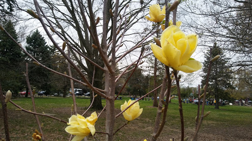 Park «Joe Creason Park», reviews and photos, 1297 Trevilian Way, Louisville, KY 40213, USA