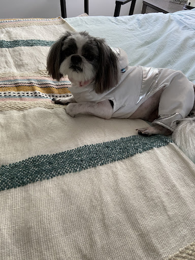 Pet Supply Store «PetSmart», reviews and photos, 10400 Southern Maryland Blvd, Dunkirk, MD 20754, USA