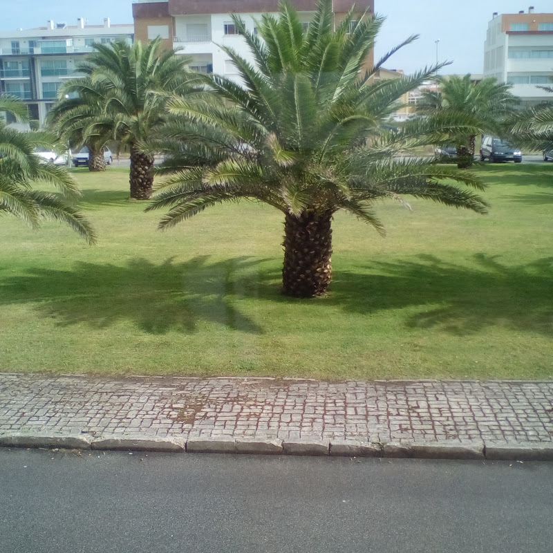 4 image