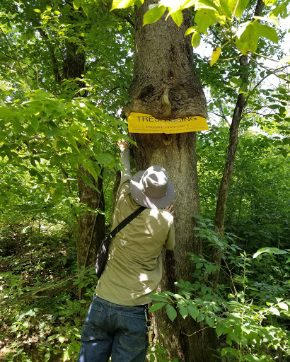 Thrift Store «Goodwill», reviews and photos