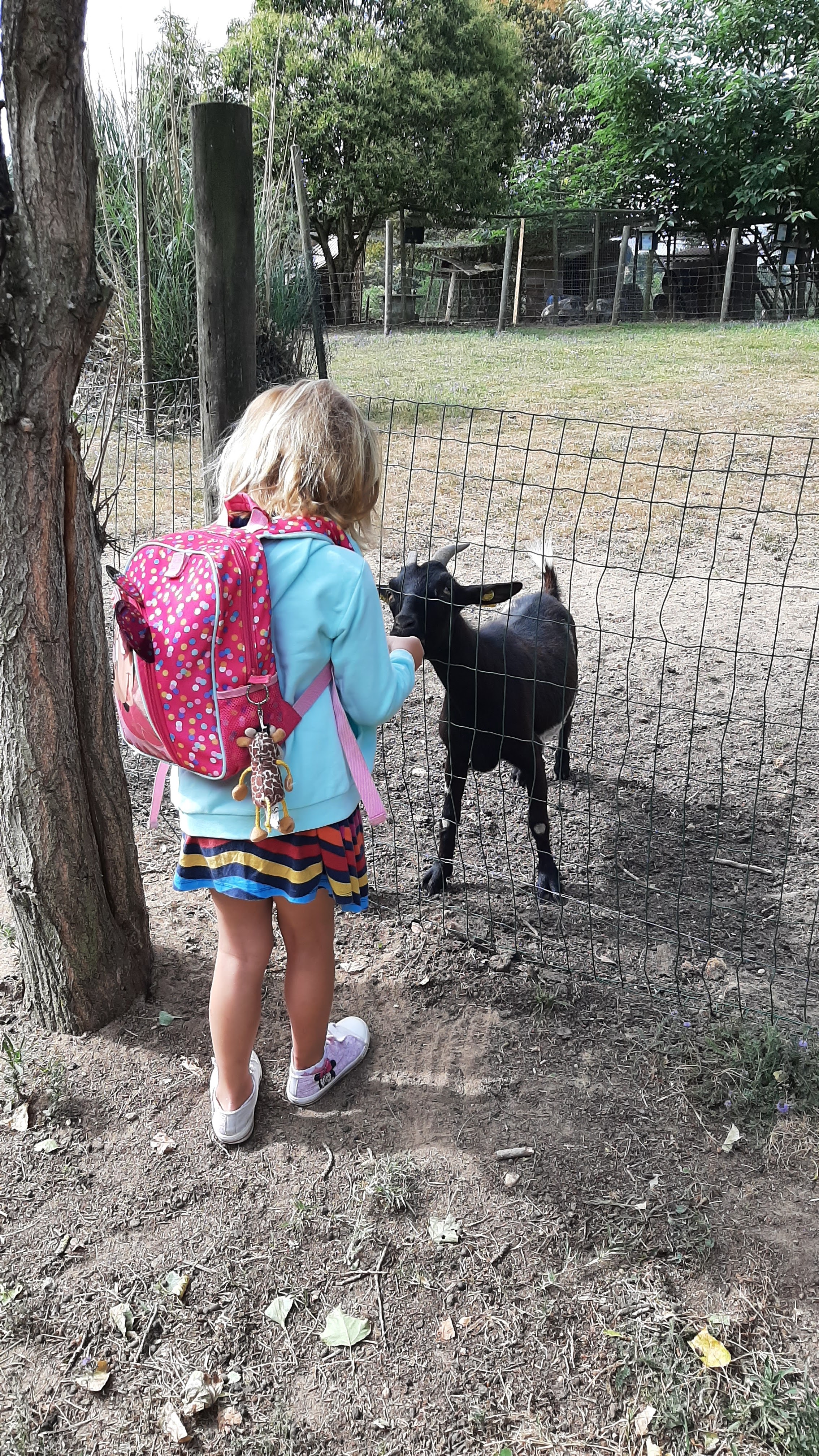 Photo n° 6 de l'avis de Corinne.a fait le 05/08/2023 à 09:26