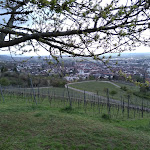 Photo n°1 de l'avis de Bernd. fait le 10/04/2019 à 00:57 sur le  Kirchberghäuschen à Bensheim