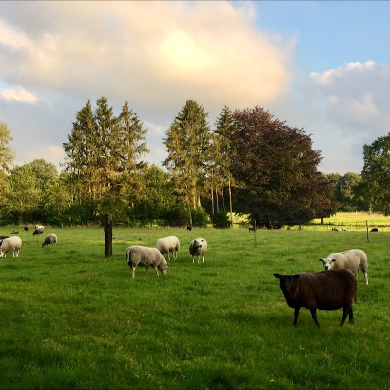 Zomerhuisjes verhuur Avondrood