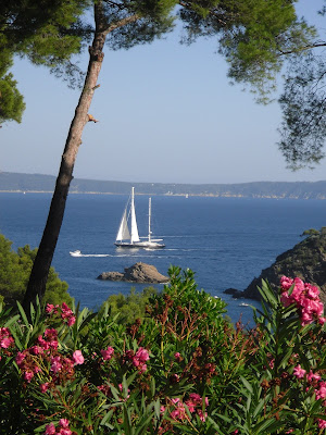 Scagliarino Immobilier à Bormes-les-Mimosas