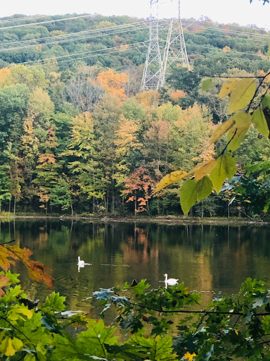 Nature Preserve «Kitchawan Preserve», reviews and photos, 712 Kitchawan Rd, Ossining, NY 10562, USA