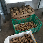 Photo n°9 de l'avis de Gavino.e fait le 12/08/2019 à 10:31 sur le  Hotel del Falco à Peglio