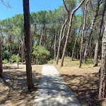 Photo n°27 de l'avis de Gioia.a fait le 04/06/2021 à 18:48 sur le  C.S.A. Hotel-Beach-Park à Marina di Bibbona