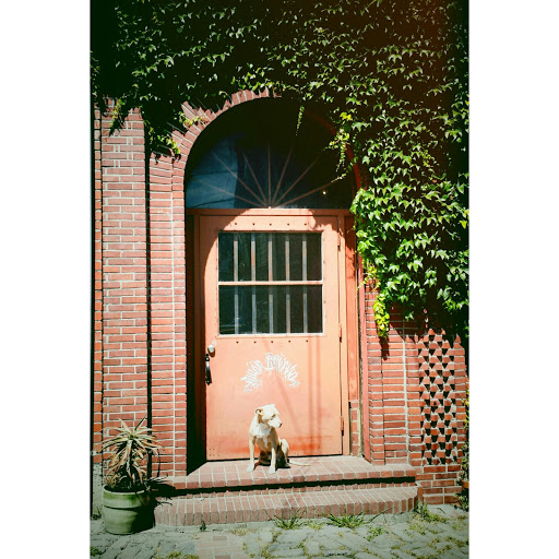 Explore faith over fear tattoo ideas, creative tattoo ideas in Oakland, available at Amor Eterno Arte