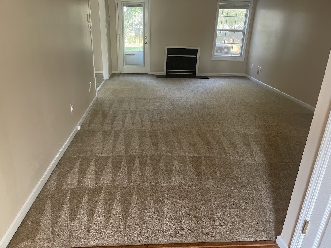 Best Carpet Cleaning