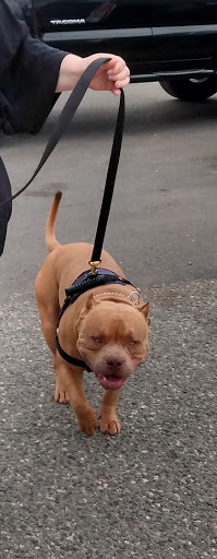 Pet Store «Co-Op Supply», reviews and photos, 2901 State St, Everett, WA 98201, USA