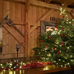 Photo n°22 de l'avis de Beate.e fait le 25/12/2023 à 22:01 sur le  Das Götzfried - Garden & Spa Hotel à Regensburg