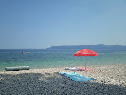 Jelenscica beach'in fotoğrafı vahşi alan