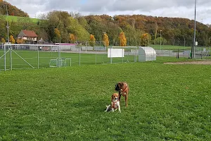 Verein Hundespielplatz Eiken image