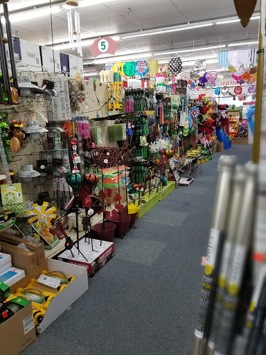 Dollar Store «Dollar Treasure», reviews and photos, 965 E Auburn Rd, Rochester Hills, MI 48307, USA