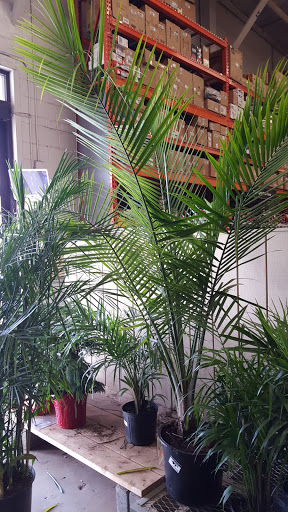 Home Improvement Store «The Home Depot», reviews and photos, 902 Murray Rd, East Hanover, NJ 07936, USA