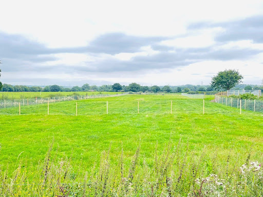 South Cannock Farm Secure Dog Walking