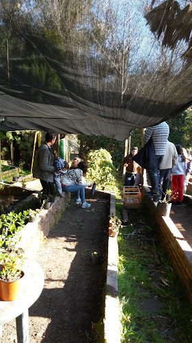 Opiniones de Vivero en Lavalleja - Centro de jardinería