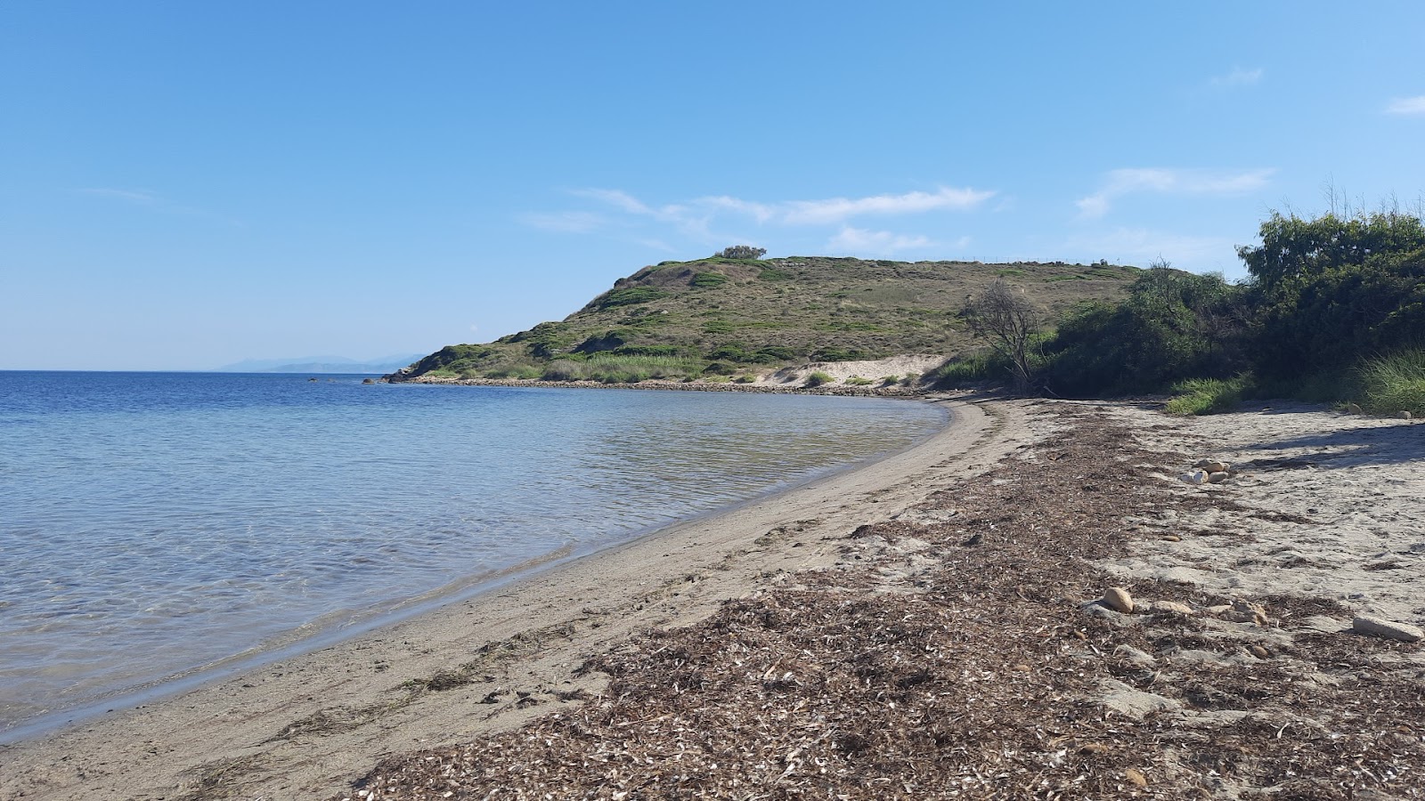 Spiaggia di Mare Morto的照片 具有非常干净级别的清洁度