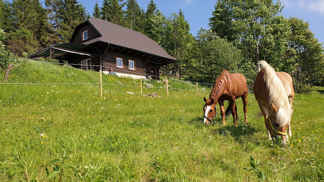 http://panoramaranc.sk/