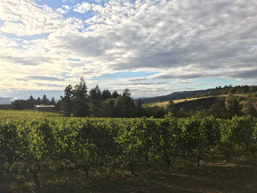 Vineyard «Archer Vineyard, Winery & Tasting Room», reviews and photos, 32230 NE Old Parrett Mountain Rd, Newberg, OR 97132, USA