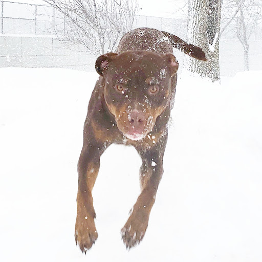 Explore tattoo ideas for grief, creative tattoo ideas in Erie, available at EliKingInk