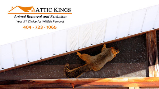 Attic Kings Inc (Animal Removal & Exclusion)