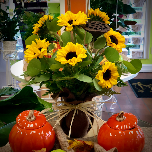 Florist «Seminole Florist», reviews and photos, 8613 Seminole Blvd, Seminole, FL 33772, USA