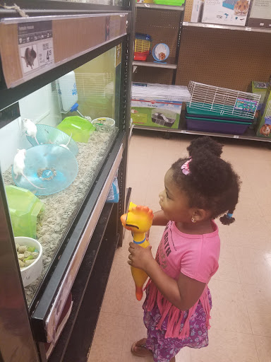 Pet Supply Store «Petco Animal Supplies», reviews and photos, 7308 Alameda St, Walnut Park, CA 90255, USA