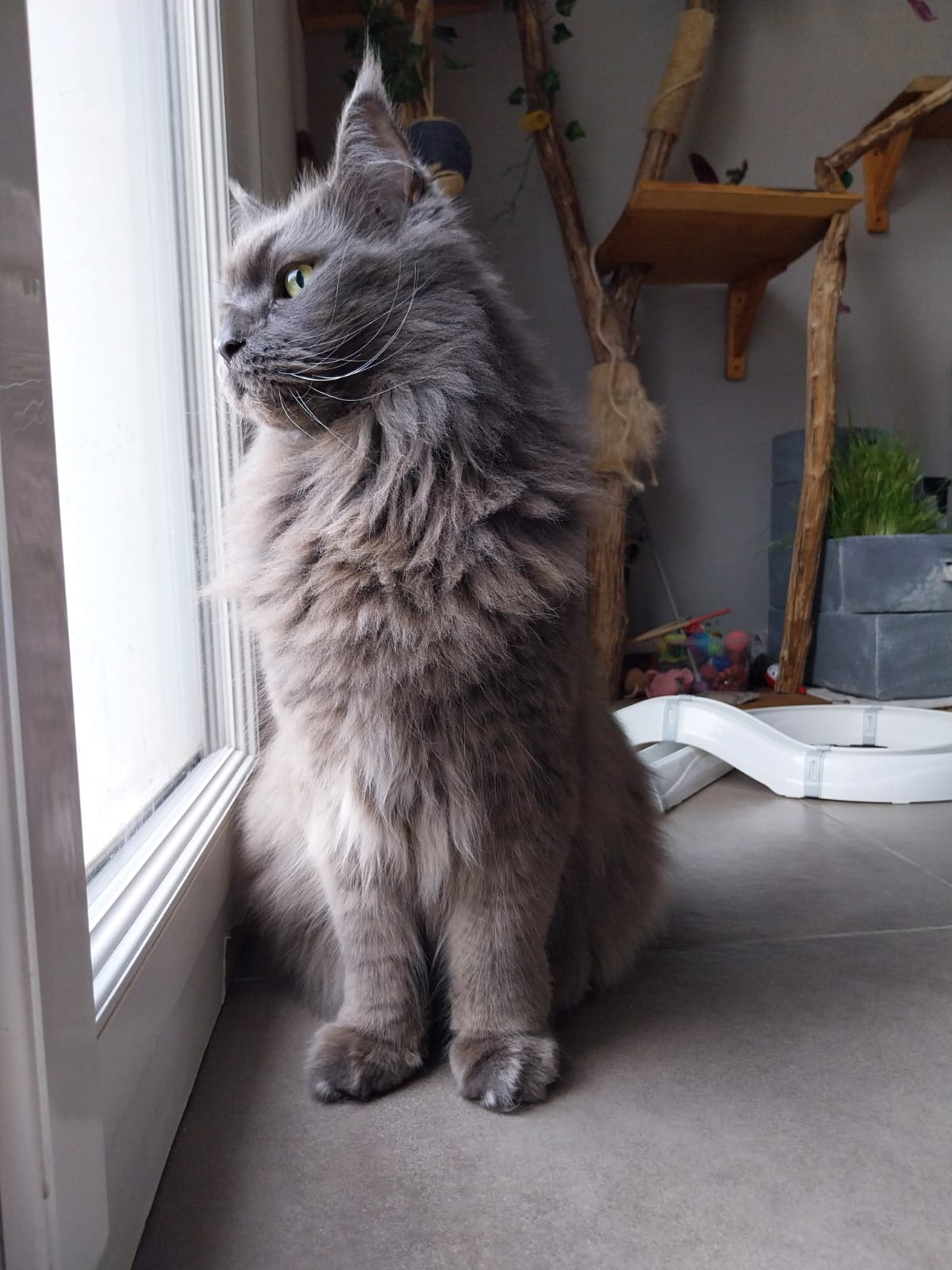 Photo n° 3 de l'avis de Lisa.O fait le 29/11/2023 à 10:08