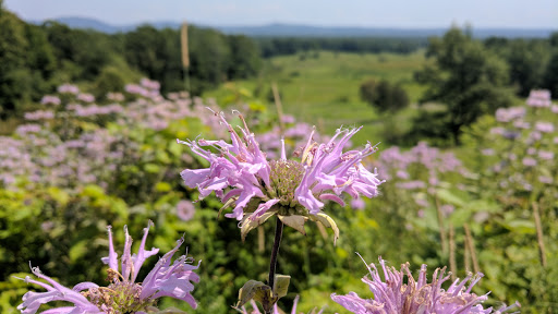 Historical Place «Saratoga National Historical Park», reviews and photos, 648 NY-32, Stillwater, NY 12170, USA