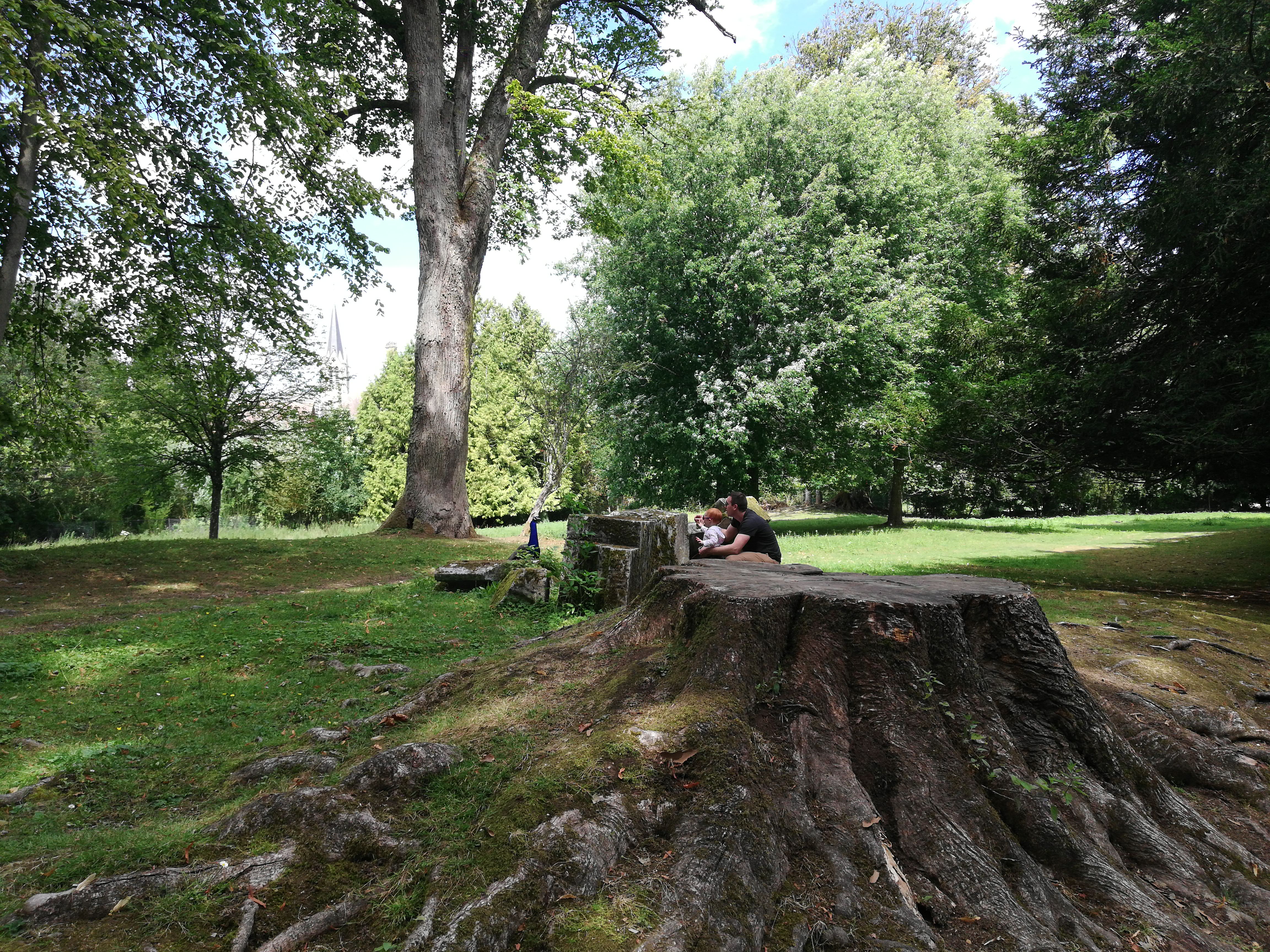Photo n° 2 de l'avis de Marion.o fait le 01/08/2020 à 14:33