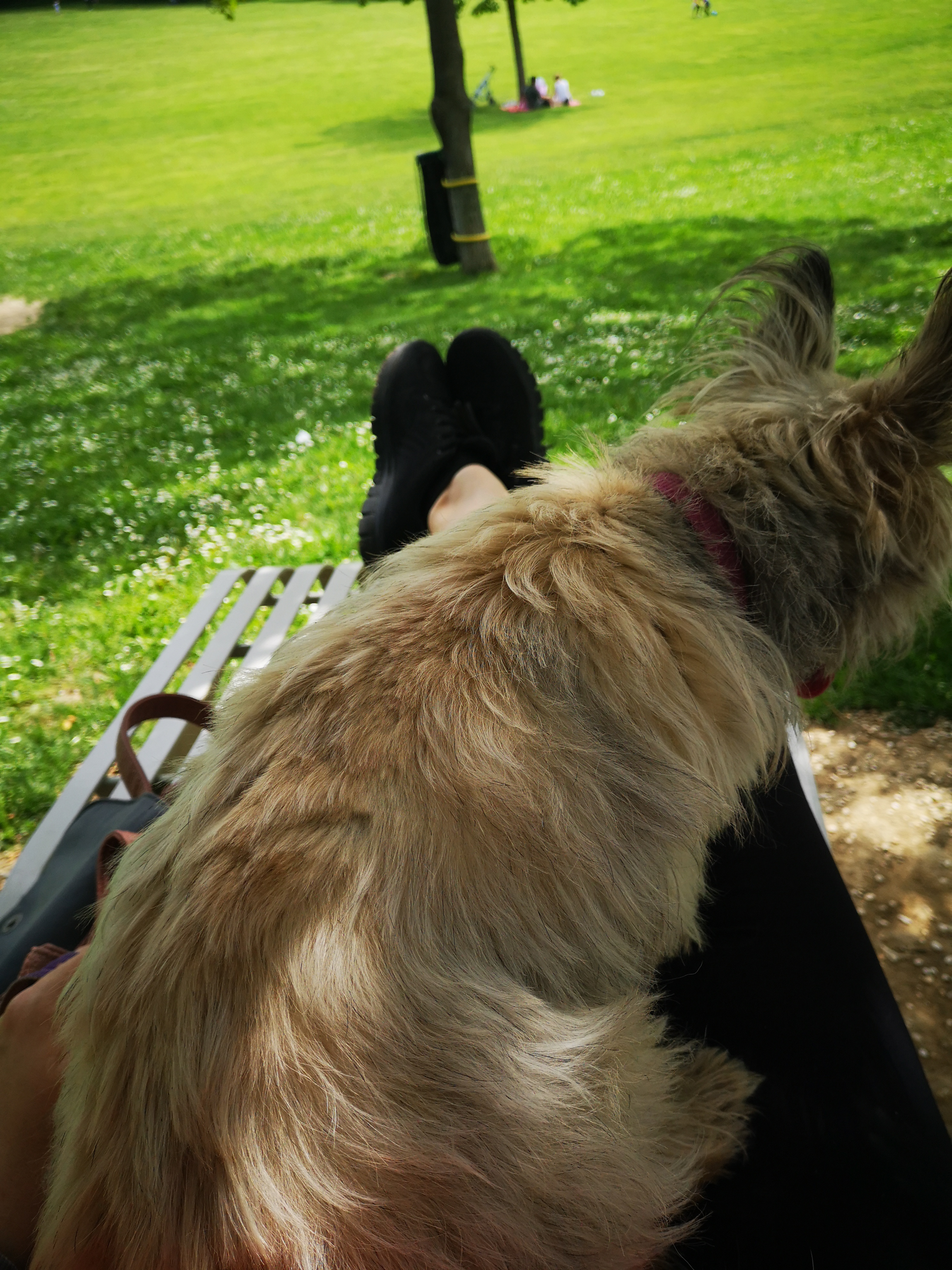 Photo n° 2 de l'avis de Catherine.a fait le 01/06/2019 à 13:00