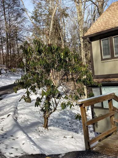 Ski Resort «Sugar Mountain Resort, Inc.», reviews and photos, 1009 Sugar Mountain Dr, Sugar Mountain, NC 28604, USA