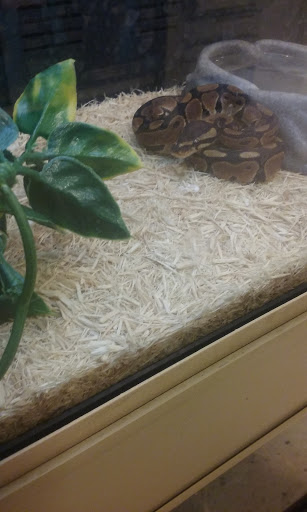 Pet Supply Store «PetSmart», reviews and photos, 5 Mystic View Rd, Everett, MA 02149, USA