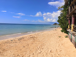 Belmont Sands'in fotoğrafı ve yerleşim