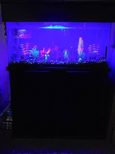 Pet Supply Store «PetSmart», reviews and photos, 1196 W Olive Ave, Merced, CA 95348, USA