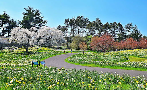 We Buy Houses Fast The Bronx