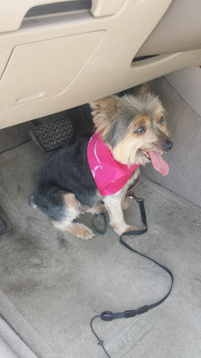 Pet Supply Store «PetSmart», reviews and photos, 367 Mt Hope Ave, Rockaway, NJ 07866, USA