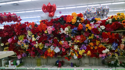 Dollar Store «Dollar Tree», reviews and photos, 31014 Pacific Hwy S, Federal Way, WA 98003, USA