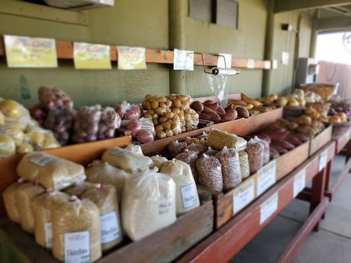 Produce Market «Ikedas Markets», reviews and photos, 26295 Mace Blvd, Davis, CA 95618, USA