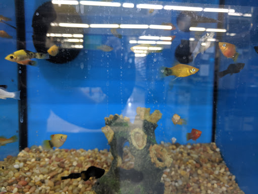 Pet Supply Store «Pet Supplies Plus», reviews and photos, 1240 Seminole Trail, Charlottesville, VA 22901, USA