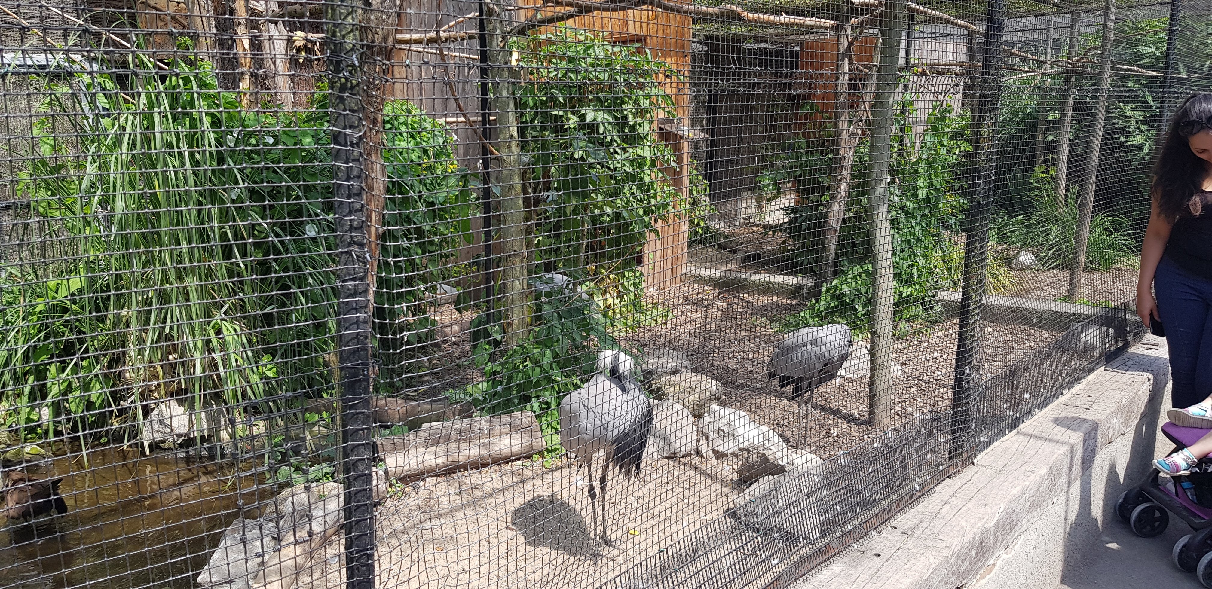 Photo n° 42 de l'avis de Nuk3d.t fait le 13/10/2019 à 18:58