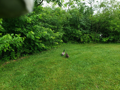 Golf Club «Green Crest Golf Club», reviews and photos, 7813 Bethany Rd, Middletown, OH 45044, USA