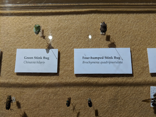 Natural History Museum «Museum of Natural History and Planetarium», reviews and photos, 1000 Elmwood Ave, Providence, RI 02907, USA