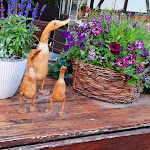 Photo n°3 de l'avis de HB. fait le 10/06/2022 à 06:14 sur le  Restaurant Zur Post à Zwingenberg