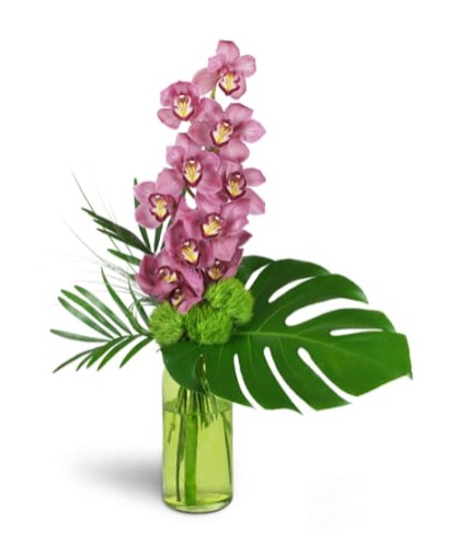 Florist «J E Flower Shop», reviews and photos, 141 Broad St, New Britain, CT 06053, USA